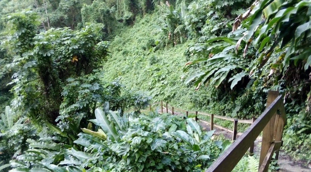 06e4f8b6-2bfe-4ea3-a706-9f418d25ea18