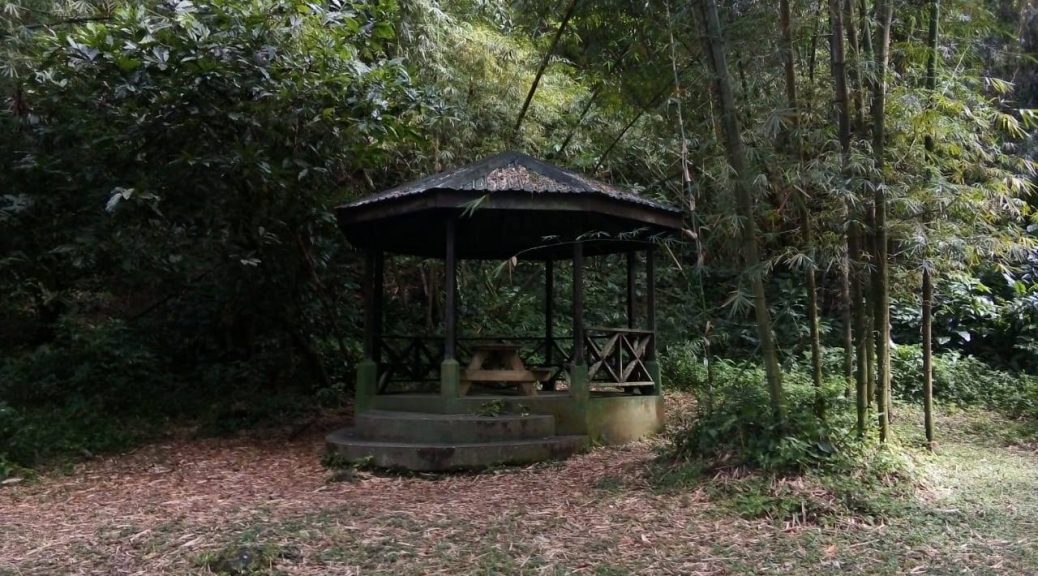 1d26d52f-5e95-4bd3-a310-64b6b96b5da1