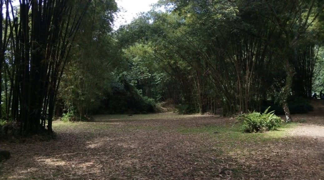 214d2726-86be-472d-88f1-2be3250d7f26