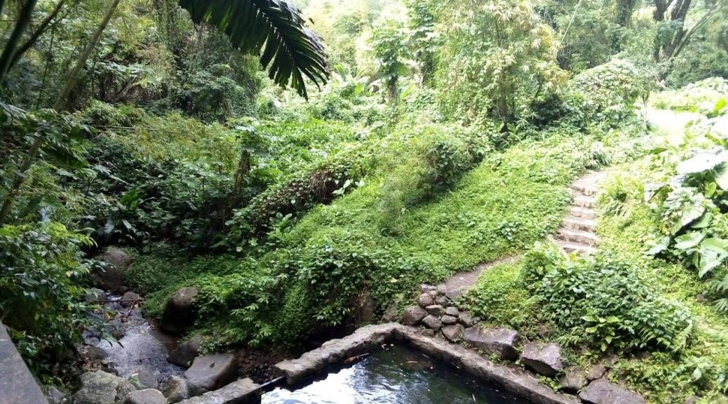 3f5cdd40-0045-48b1-a2af-95a749486bd9