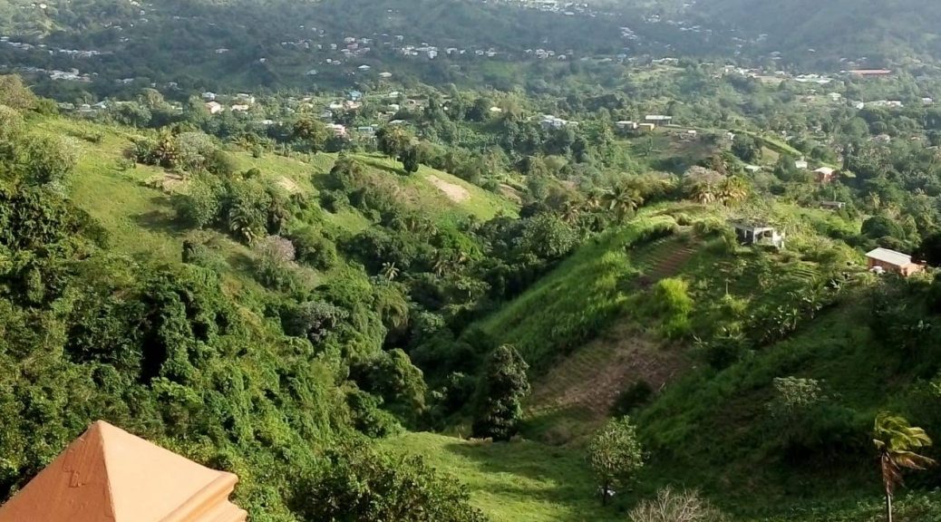 41e79410-ae3a-4261-8e07-a5c3585d5dda