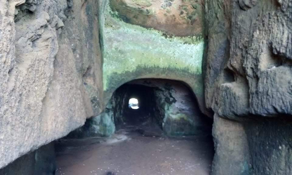 462588bc-969b-46f7-94f8-b0cb44cf3404