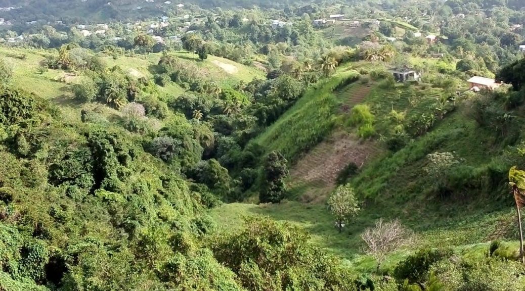 659d4fec-efe8-4dfe-9769-c9e95e83f008