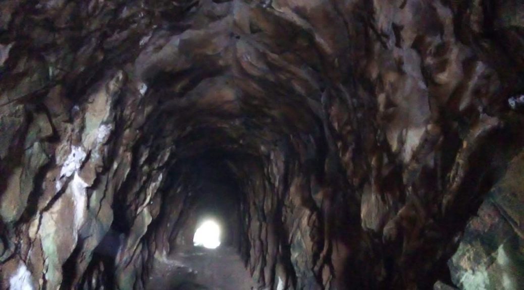 9695bc67-25f8-47e3-8194-09ef7b834110