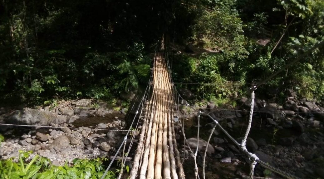 9fe477d6-7b50-4a34-80c0-13b70812c757