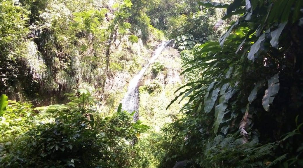 ada8bfea-e087-41b5-8faa-768200d016cc