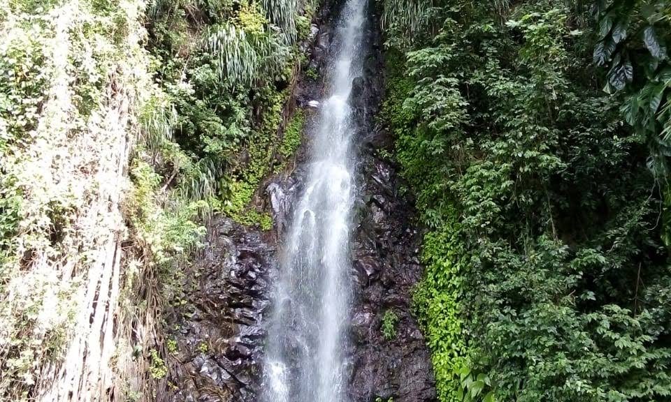 bdab5cc9-1ec6-40c0-8fd1-4d82757a05fe