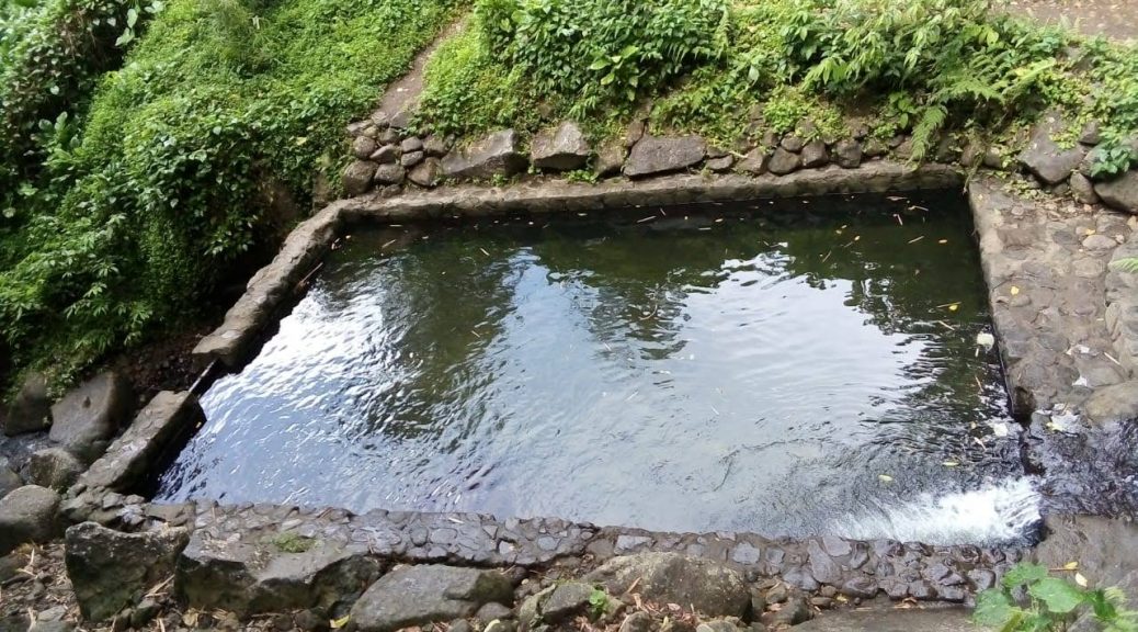 d226c377-ecd2-45c1-b653-b52f9ac6b2a3