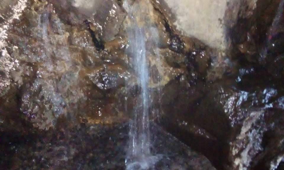 e19c1720-3a8c-40f0-add3-d2a388633436